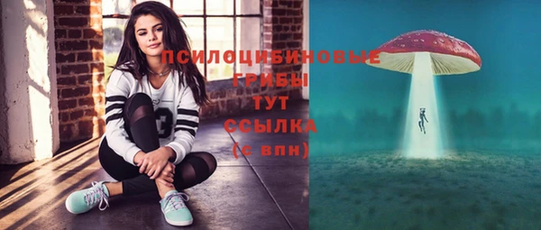 мескалин Арсеньев