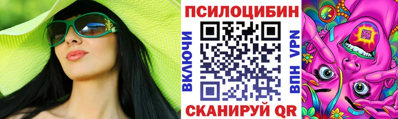 Псилоцибиновые грибы Psilocybe дарк нет телеграм Кудрово