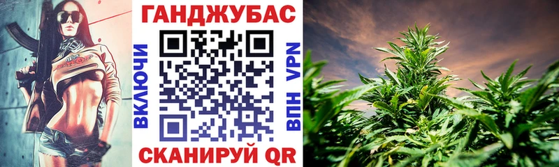 наркота  Кудрово  Конопля семена 